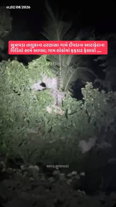 સુત્રાપડા તાલુકાના હરણાસા ગામે દીપડાના આટાફેરાના વિડિયો સામે આવ્યા; ગામ લોકોમાં ફફડાટ ફેલાયો
#girsomnath #liveupdate #girforest #sutrapada #leopard