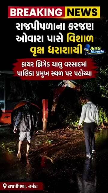BIG BREAKING | રાજપીપળા કરજણ ઓવારા પાસે વર્ષો જૂનું ઝાડ પડ્યું, યુદ્ધના ધોરણે હટાવવાની કામગીરી શરૂ