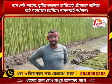 দাম নেই পাটের, বৃষ্টির অভাবে জমিতেই চৌবাচ্চা বানিয়ে পাট পচাচ্ছেন চাষিরা। প্রতিনিধি -কমল বড়া,নাদনঘাট।
#পলাশীবার্তা #bardhman_news #PurbaBardhaman #LikeFollowShare