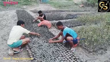 সুন্দরবনে সবুজ সংঘের ম্যানগ্রোভ দিবস পালন কেমন হলো দেখুন #GSB #Sundarbans #mangroves