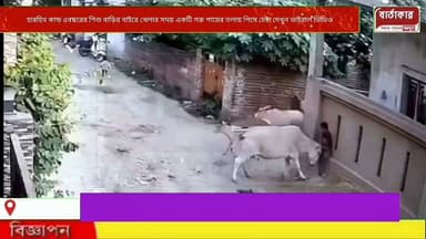 হারহিম করা ঘটনা প্রকাশ্যে রাস্তার মধ্যেই ৫বছরের শিশু বাড়ির বাইরে খেলার সময় ওই শিশুকে একটি গরু পায়ের তলায় পিষে মেরে ফেলার চেষ্টা দেখুন ভাইরাল ভিডিও।ঘটনাটি ঘটেছে লখনওতে!
#viral
#flowers
#hilight
#westbangal
#BARTAKAR