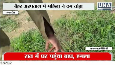 Balaghat Breaking | Tiger Attack | घर में घुसा बाघ, महिला की मौ#t