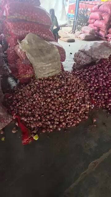 प्याज़ के भाव मे तेजी का सिलसिला जारी 1100 रूपए मन बिक रहा प्याज़ #pyajkabhav