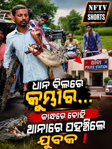 ଧାନ ବିଲରେ କୁମ୍ଭୀର... କାନ୍ଧରେ ବୋହି ଥାନାରେ ପହଞ୍ଚିଲେ ଯୁବକ
#Supaul #Bihar #Crocodile #ViralVideo #BreakingNews #Wildlife #PoliceStation #PaddyField #IndiaNews #Trending #FacebookReels #InstagramReels #NFTV #NFTVShorts #NewsFastTV #ViralNews #Nature #KosiRiver #DailyNews #Reels