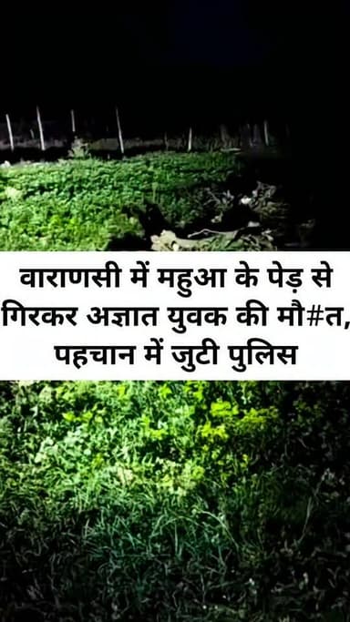 महुआ के पेड़ से गिरकर अज्ञात युवक की मौत, पहचान में जुटी पुलिस
वाराणसी। मिर्जामुराद थाना क्षेत्र के बहेड़वा गांव में रविवार शाम महुआ के पेड़ से गिरने से एक अज्ञात युवक की मौत हो गई। जानकारी के अनुसार, करीब 25 वर्षीय युवक लगभग 30 फीट ऊंचे महुआ के पेड़ पर पत्ते तोड़ रहा था। इसी दौरान पेड़ की डाल अचानक टूट गई, जिससे वह नीचे गिर पड़ा और गंभीर चोट लगने से उसकी मौके पर ही मौत हो गई।
कुछ देर बाद ग्रामीणों ने युवक को पेड़ के नीचे पड़ा देखा और पुलिस को सूचना दी। मौके पर पहुंची पुलिस और फील्ड यूनिट ने घटनास्थल का निरीक्षण कर साक्ष्य जुटाए। युवक ने लाल रंग की टी-शर्ट और पैंट पहन रखी थी। घटनास्थल पर पेड़ की टूटी डालियां भी मिलीं, जिससे प्रथम दृष्टया मामला हादसा प्रतीत हो रहा है। पुलिस ने शव को कब्जे में लेकर पोस्टमार्टम के लिए भेज दिया है। थाना प्रभारी गोपाल जी कुशवाहा ने बताया कि मृतक की पहचान कराने के प्रयास किए जा रहे हैं तथा आवश्यक विधिक कार्रवाई की जा रही है।
#LETESTNEWS #LetestUpdate #पत्रकारदेवेंद्रदेशमुख #VaranasiNews 👇👇