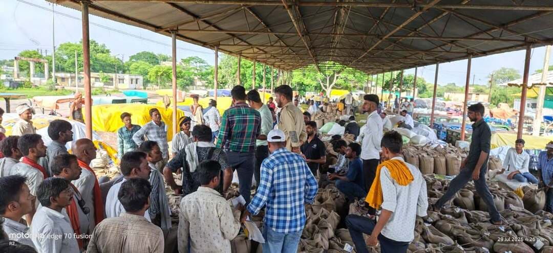 किसने की मूंग खरीदी की समस्याओं को देखते हुए आज हट्टा में एसडीएम राकेश मरकाम एवं तहसीलदार उमेश तिवारी द्वारा मंडी निरीक्षण किया गया जिसमें एसडीएम एवं तहसीलदार के द्वारा किसानों से वार्तालाप किया गया एवं संबंधित अधिकारियों को निर्देश दिए गए थे किसानों को अधिक परेशान ना किया जाए और मंडी में पूर्ण रूप से सभी प्रकार की सुविधा किसानों को उपलब्ध की जाए निर्देश देते हुए किसानों को आश्वासन दिया गया
जिला ब्यूरो चीफ गोविन्द साहू