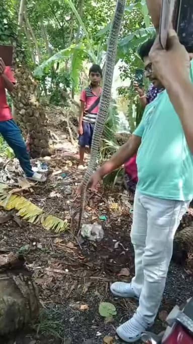 ফ্রেজারগঞ্জের অমরাবতী গ্রামে জাল থেকে উদ্ধার করা হলো সাপ