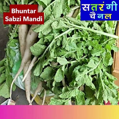 आइए जानते हैं आज दिनाँक 3 अगस्त को भुंतर सब्ज़ी मंडी में सब्ज़ियों और फलों के ताज़ा भाव।"
टमाटर ने किया निराश, लोकल खीरा और पॉलीहाउस शिमला मिर्च ने बढ़ाई किसानों की आमदनी |
#bhuntarsabzimandi #takolisabzimandi