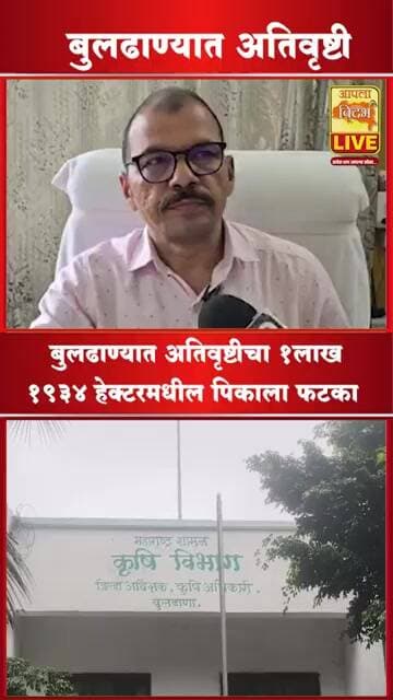 BULDHANA | अतिवृष्टीचा तडाखा! 1 लाख 1 हजार 934 हेक्टरवरील पिकांचे मोठे नुकसान; शेतकरी संकटात #shorts