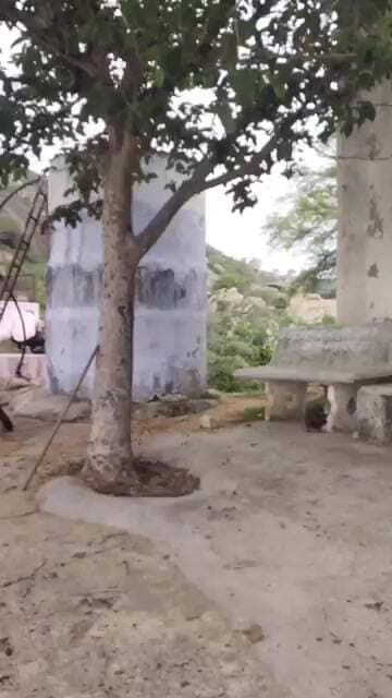 100 किमी दूर से 85 साल की उम्र में पहुंच माता कामाख्या मंदिर और कहा माता कामाख्या का आदेश था।