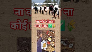 #faydemandkhetigyan #trend #trending #farming #shorts #khetigyan #फायदेमंद_खेती_ज्ञान #kheti