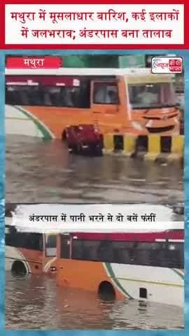 मथुरा में मूसलाधार बारिश, कई इलाकों में जलभराव; अंडरपास बना तालाब
#Mathura #MathuraRain #RainAlert #Waterlogging
