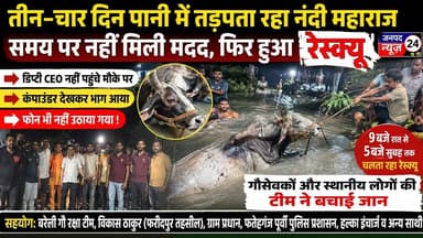 तीन दिन तक पानी में तड़पता रहा घायल नंदी, गौसेवकों ने घंटों की मशक्कत के बाद किया रेस्क्यू।