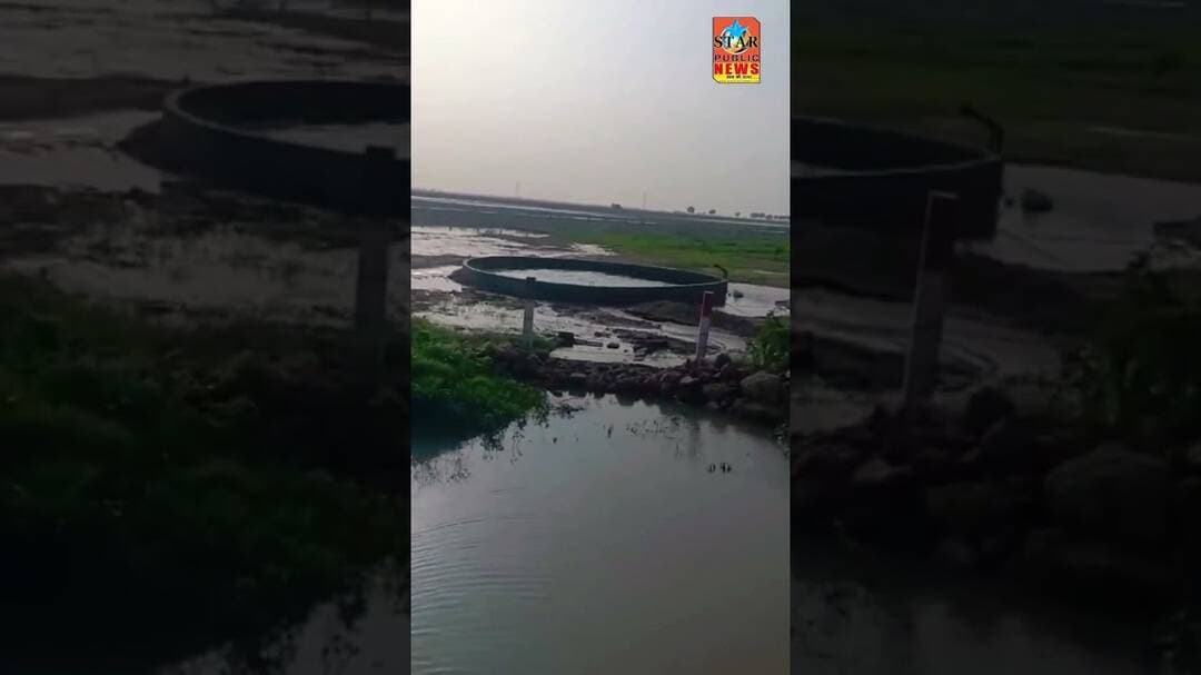 #starpublicnews गुजरात के मोरबी तालुका स्थित वीरपार्डा गांव में एक बेहद #viral #shorts