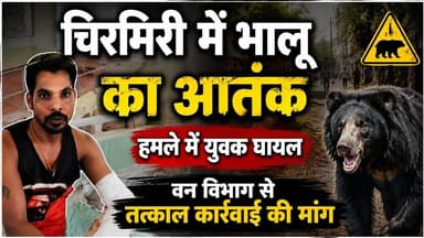 #छत्तीसगढ़ #चिरमिरी में #भालू का #आतंक #हमले में #युवक #घायल #वन विभाग से तत्काल कार्रवाई की मांग