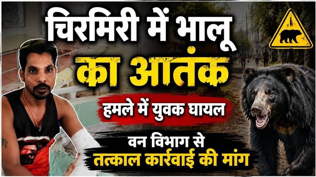 #छत्तीसगढ़ #चिरमिरी में #भालू का #आतंक #हमले में #युवक #घायल #वन विभाग से तत्काल कार्रवाई की मांग