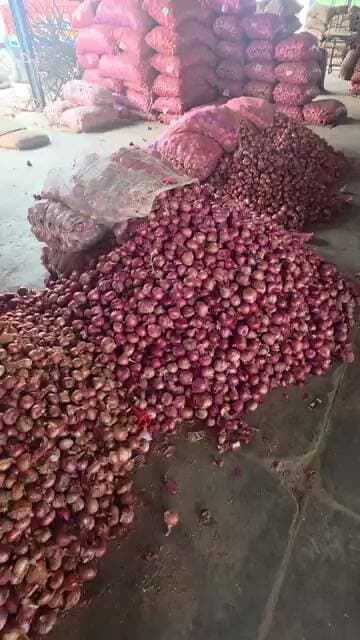 सावन के महीने मे प्याज़ के भाव मे हुआ 200 रूपए का बदलाव #pyajkabhav