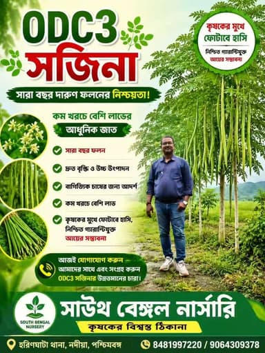 🌿 ODC3 সজিনা – সারা বছর দারুণ ফলনের নিশ্চয়তা! 🌿
🌱 কম খরচে বেশি লাভের আধুনিক জাত
✅ সারা বছর ফলন
✅ দ্রুত বৃদ্ধি ও উচ্চ উৎপাদন
✅ বাণিজ্যিক চাষের জন্য আদর্শ
✅ কৃষকের মুখে ফোটাবে হাসি, নিশ্চিত গ্যারান্টিযুক্ত আয়ের সম্ভাবনা
📞 আজই যোগাযোগ করুন আমাদের সাথে এবং সংগ্রহ করুন ODC3 সজিনার উন্নতমানের চারা।
🌿 সাউথ বেঙ্গল নার্সারি – কৃষকের বিশ্বস্ত ঠিকানা।