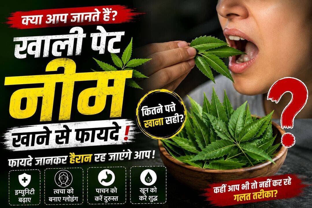 Neem Benefits: खाली पेट नीम खाने से फायदे! जानिए क्या कहते हैं विशेषज्ञ
👇🏻👇🏻👇🏻👇🏻👇🏻👇🏻👇🏻👇🏻
https://uk24x7news.com/neem-benefits-know-the-benefits-of-eating-neem-on-an-empty-stomach-what-experts-say/<nis:link nis:type=tag nis:id=google_vignette nis:value=google_vignette nis:enabled=true nis:link/>
<nis:link nis:type=tag nis:id=neem nis:value=Neem nis:enabled=true nis:link/> <nis:link nis:type=tag nis:id=healthtips nis:value=HealthTips nis:enabled=true nis:link/> <nis:link nis:type=tag nis:id=ayurveda nis:value=Ayurveda nis:enabled=true nis:link/> <nis:link nis:type=tag nis:id=healthylifestyle nis:value=HealthyLifestyle nis:enabled=true nis:link/> <nis:link nis:type=tag nis:id=neemleaves nis:value=NeemLeaves nis:enabled=true nis:link/> <nis:link nis:type=tag nis:id=healthnews nis:value=HealthNews nis:enabled=true nis:link/> <nis:link nis:type=tag nis:id=hindinews nis:value=HindiNews nis:enabled=true nis:link/> <nis:link nis:type=tag nis:id=wellness nis:value=Wellness nis:enabled=true nis:link/> <nis:link nis:type=tag nis:id=naturalremedies nis:value=NaturalRemedies nis:enabled=true nis:link/> <nis:link nis:type=tag nis:id=healthyliving nis:value=HealthyLiving nis:enabled=true nis:link/>