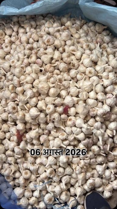#viralreels #viralreelsvideo #trending #reelkarofeelkaro #mandibhavkalapipal