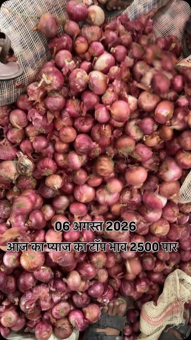 2500 पार #viralreels #viralreelsvideo #trending #reelkarofeelkaro #mandibhavkalapipal