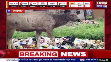 खबर का असर रणथम्भौर में सांभर के कचरे के पास दिखने के मामले में वन विभाग सख्त
