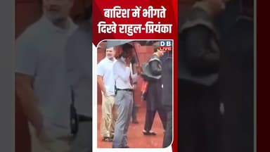बारिश में भीगते दिखे राहुल-प्रियंका #dblive #shortvideo #rahulgandhi #congressnews #pmmodi