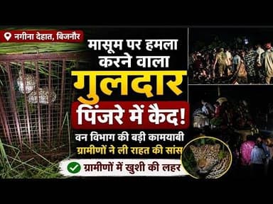 Nagina में बच्चे पर हमला करने वाला गुलदार वन विभाग के शिकंजे में #bijnornewsupdate1