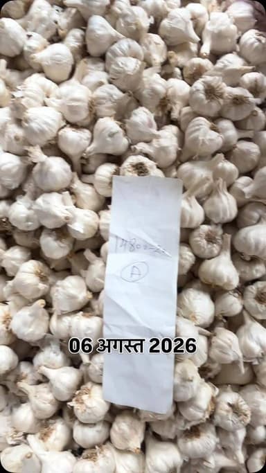 #viralreels #viralreelsvideo #trending #reelkarofeelkaro #mandibhavkalapipal