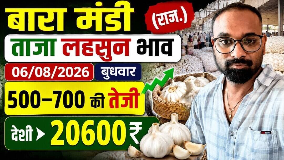 6 August 2026 बारा मंडी लहसुन भाव # आज के ताजा मंडी लहसुन भाव# today garlice price#मंडी लहसुन भाव#