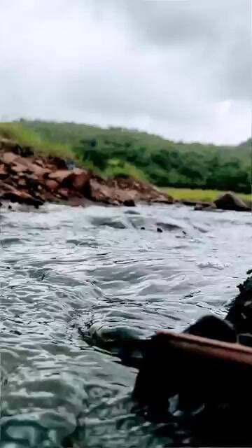 वसई-विरार की आख़िरी हरियाली? | प्रभाग 8 और 19 की प्राकृतिक सुंदरता पर बड़ा सवाल | Dhaniv Baug #nsp