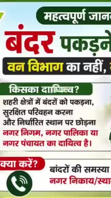 जनहित में जारी बंदरों को पकड़ने के लिए कहां करें शिकायत#asm_news