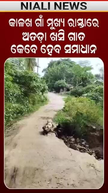 କେବେ ହେବ ନିଆଳି କାଳଖ ଗାଁକୁ ରାସ୍ତା | Shorts | Niali | Kataka