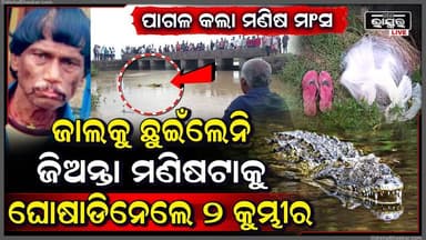 କୂଳରେ ପଡିଛି ଚପଲ, ପାଣି ଭିତରେ ଜାଲ, ଲୋକଙ୍କ ଆଖି ଆଗରେ ୨ କୁମ୍ଭୀର ମିଶି ଟାଣି ନେଇଗଲେ ବୃଦ୍ଧଙ୍କୁ...