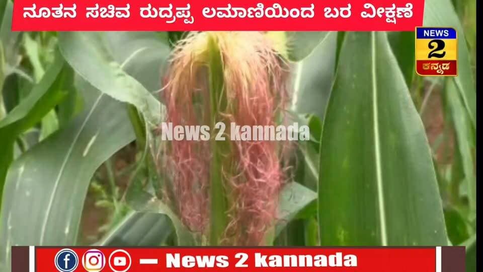 ಹಾವೇರಿ ಜಿಲ್ಲೆಯಲ್ಲಿ ಬರ ವೀಕ್ಷಣೆ ನಡೆಸಿದ
ನೂತನ ಸಚಿವ ರುದ್ರಪ್ಪ ಲಮಾಣಿ..! | News 2 Kannada |