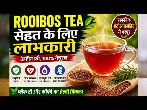 What is rooibos tea | क्या है रुईबोस चाय |#healthylifestyle #healthtips