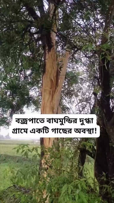 #highlightseveryone #viralreelschallenge #BreakingNews