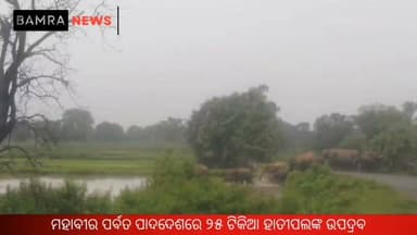 ମହାବୀର ପର୍ବତ ପାଦଦେଶରେ ୨୫ ଟିକିଆ ହାତୀପଲଙ୍କ ଉପଦ୍ରବ
