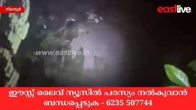 ചാലിയാർ മൈലാടി പൊട്ടിയിൽ വീണ്ടും കാട്ടാന | Nilambur