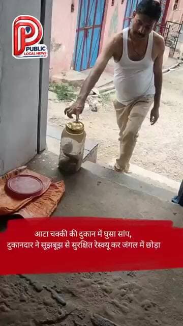 आटा चक्की की दुकान में घुसा सांप, दुकानदार ने सूझबूझ से सुरक्षित रेस्क्यू कर जंगल में छोड़ा