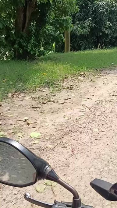 News video thumbnail