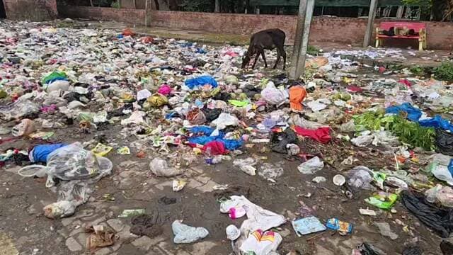 🚨 भाजपा प्रदेश अध्यक्ष डॉ. अर्चना गुप्ता और प्रदेश उपाध्यक्ष भव्य बिश्नोई का हिसार आगमन, चारों तरफ गंदगी का आलम! 🗑️
सफाई कर्मचारी धरने पर, शहर की सफाई व्यवस्था पर उठे सवाल ❗
प्रदेश अध्यक्ष के हिसार पहुंचने से पहले सामने आई शहर की बदहाल तस्वीर।
#Hisar #BJP #ArchanaGupta #BhavyaBishnoi #HisarNews #SafaiKaramchari