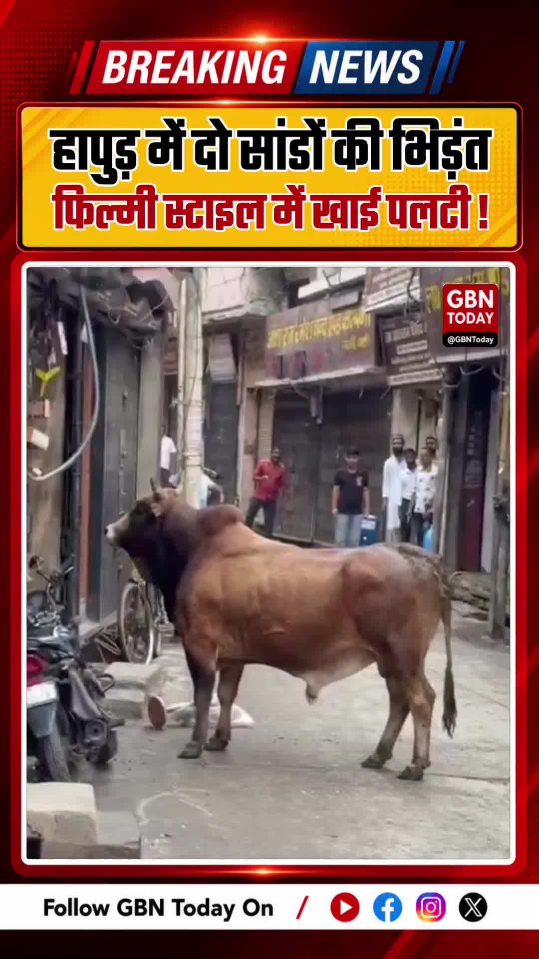 हापुड़: बाजार में भिड़े दो सांड, फिल्मी स्टाइल में पलटी
#Hapur #StrayCattle #ViralVideo #MarketFight #UttarPradesh