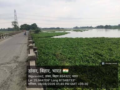 जलालगढ़ प्रखंड के पूरब भाग की इकलौता दनसार कोसी पुल, बाढ़ के तेज रफ्तार पानी में फंसा जंगल, क्षतिग्रस्त होने की संभावना
