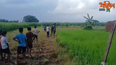 #ବାଘ_ସନ୍ଧାନରେ_ବନବିଭାଗ।
ଯାଜପୁର ଜିଲ୍ଲା ବଡ଼ଚଣା ବ୍ଲକ ସାଉଡିଆ ପଞ୍ଚାୟତ ତାଳୁଆ ଆଖୁ ବିଲରେ ବାଘ । ସନ୍ଧାନରେ ବନ ବିଭାଗ ପ୍ରଶାସନ ସହ ଖାନ ତଲାସି କରୁଛନ୍ତି ପୋଲିସ ବିଭାଗ ।
#BreakingNews
#TigerNation
#VillageTiger
#Barachana
#BalichandrapurPS
#ForestDepartment
#ASMITAKHABAR