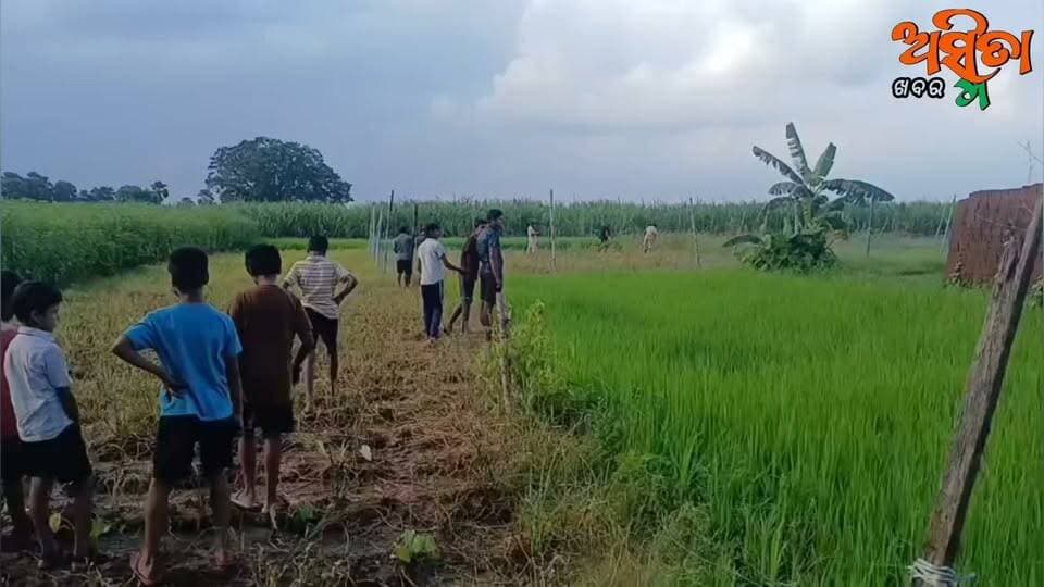#ବାଘ_ସନ୍ଧାନରେ_ବନବିଭାଗ।
ଯାଜପୁର ଜିଲ୍ଲା ବଡ଼ଚଣା ବ୍ଲକ ସାଉଡିଆ ପଞ୍ଚାୟତ ତାଳୁଆ ଆଖୁ ବିଲରେ ବାଘ । ସନ୍ଧାନରେ ବନ ବିଭାଗ ପ୍ରଶାସନ ସହ ଖାନ ତଲାସି କରୁଛନ୍ତି ପୋଲିସ ବିଭାଗ ।
#BreakingNews
#TigerNation
#VillageTiger
#Barachana
#BalichandrapurPS
#ForestDepartment
#ASMITAKHABAR