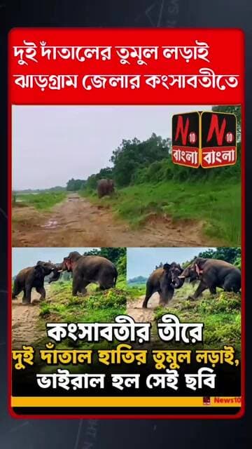 কংসাবতীর তীরে দুই দাঁতালের তুমুল লড়াই