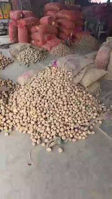 आज का आलू का भाव चकरपुर मंडी कानपुर से #aalukabhav