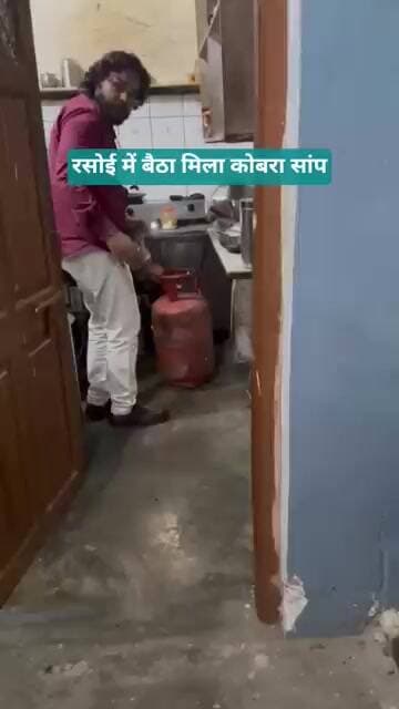 घर की रसोई में बैठा मिला 5 फीट लंबा कोबरा सांप @anhnews1
