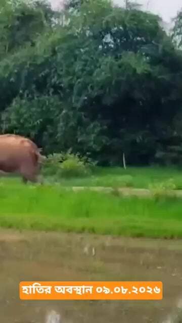 হাতির অবস্থান ০৯.০৮.২০২৬ মোট হাতি-৩টি, বড়জোড়া রেঞ্জে - ২টি, গঙ্গাজল ঘাঁটি রেঞ্জে - ১টি
